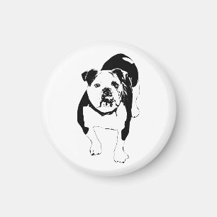 Moderner Magnet, Bulldog-Akzent Magnet