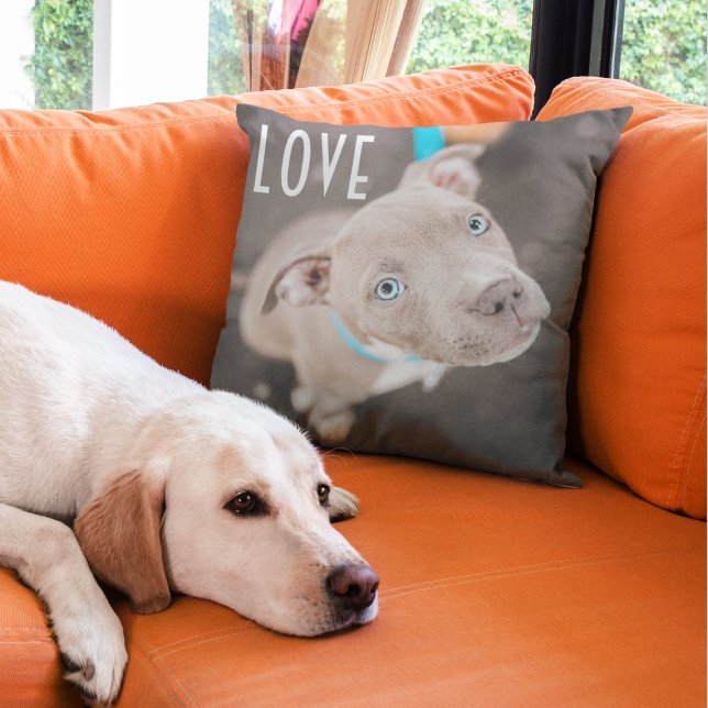 Moderner Niedlicher Foto Welpen Hund Lover Mama Kissen (Von Creator hochgeladen)