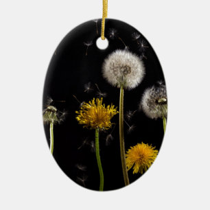 Moderner schwarzer Löwenzahn Keramik Ornament