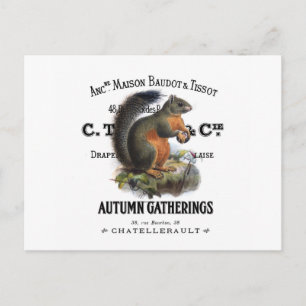 moderner vintage Herbst Eichhörnchen Postkarte
