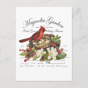 Moderner Vintage-Weihnachtskardinal Postkarte