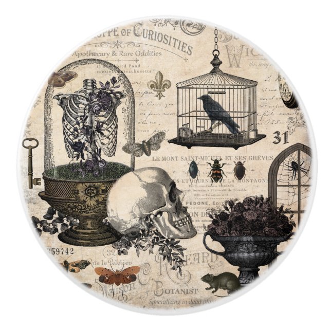 Moderner Vintager Halloween-Garten Keramikknauf (Vorderseite)