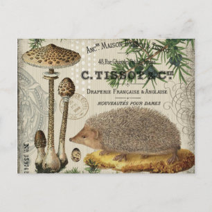 moderner Vintager Igel Postkarte