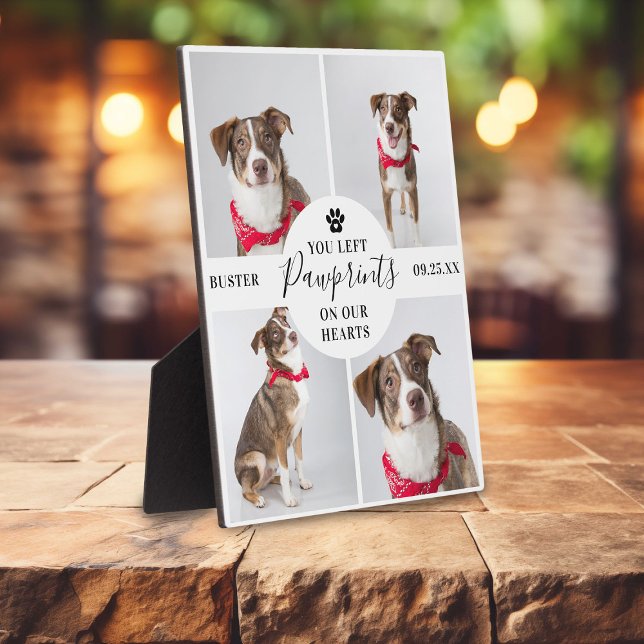 Modernes 4-Foto Collage | Hund/Katze Fotoplatte (Von Creator hochgeladen)