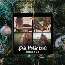 Modernes Bestes Pferd je Fotomaterial | Reittiere Keramikornament