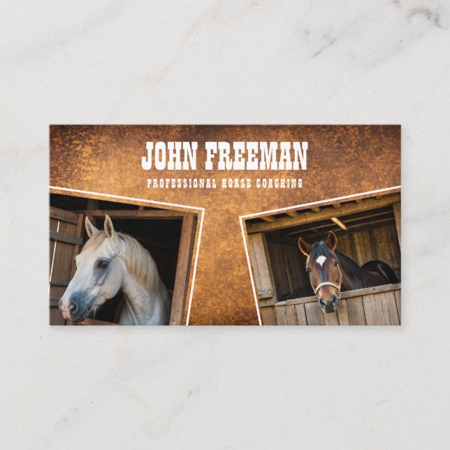 Modernes Brown & White Horse Foto Equine Visitenkarte (Vorderseite)