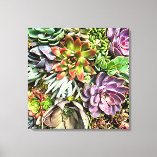 Modernes buntes saftiges Fotomuster des Chic Leinwanddruck