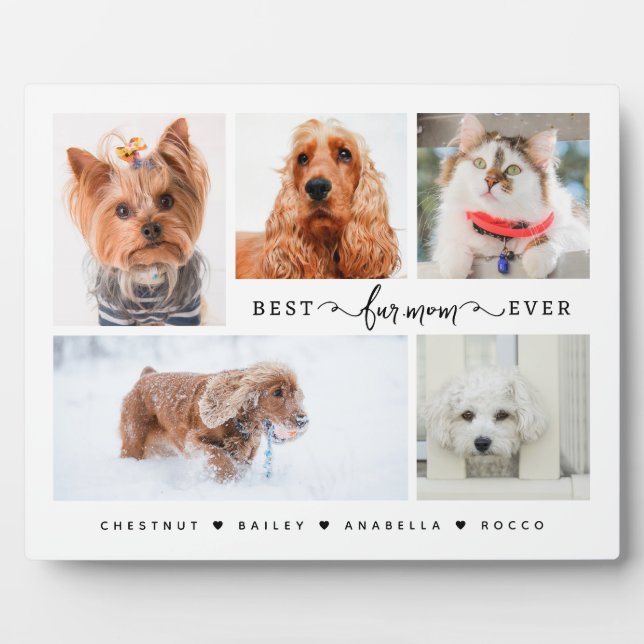 Modernes Cat & Dog Mama Geschenk Beste Pelze Mama  Fotoplatte (Vorderseite)