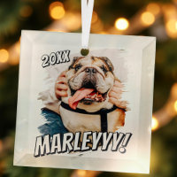 Modernes Comic Einfaches Grunge Custom Pet Foto