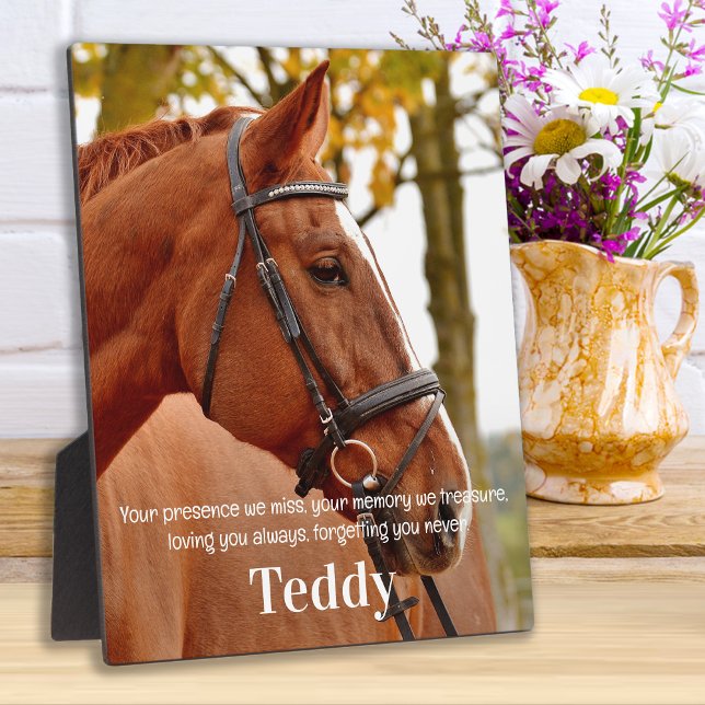 Modernes einfaches Foto Beileid Erinnern Memorial Fotoplatte (Von Creator hochgeladen)