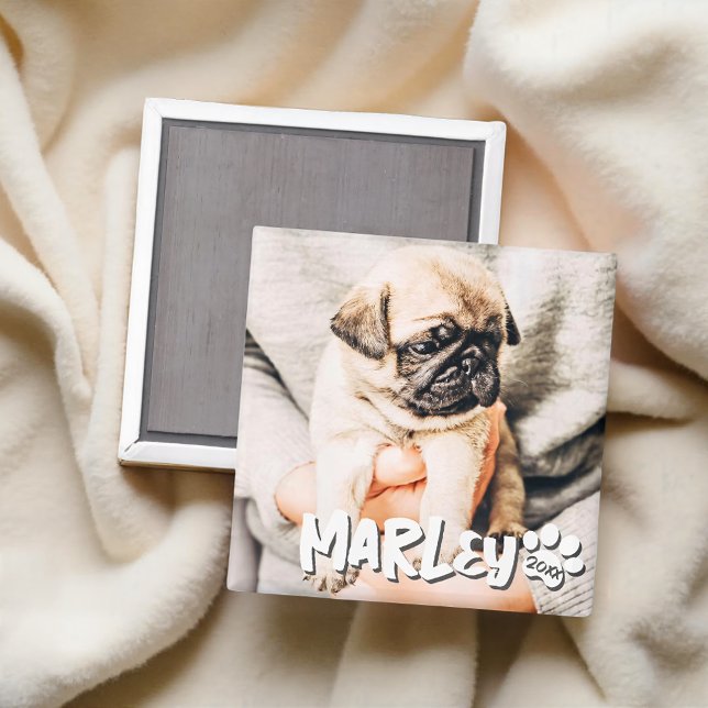 Modernes, einfaches Grunge Foto Magnet (Von Creator hochgeladen)