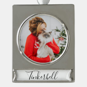 Modernes Einfaches Klassiker bei Name und Haustier Banner-Ornament Silber