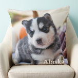 Modernes, einfaches Personalisiertes Hund Lover Fo Kissen<br><div class="desc">Mit unserem individuellen Bilderkissen können Sie Ihren Lieben nah und gemütlich behalten werden. Dieses weiche und stilvolle Kissen zeichnet sich durch ein modernes und minimalistisches Design aus und macht es zu einer großartigen Ergänzung zu jeder Wohngestaltung. Sie können sie mit jedem beliebigen Bild Ihrer Wahl personalisieren, ob es sich um...</div>