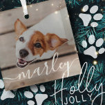 Modernes, einfaches und spielerisches Foto Ornament Aus Glas<br><div class="desc">Dieses einfache und klassische Design besteht aus Serifentypografie und fügt ein individuelles Foto Ihres Haustieres hinzu.</div>