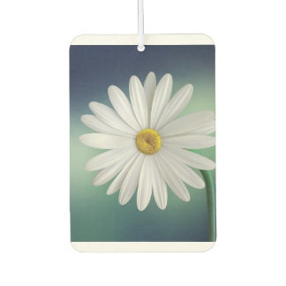 modernes, farbenfrohes und individuelles Design Autolufterfrischer