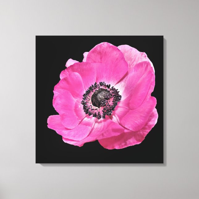 Modernes, florales, lebhaftes, helles Pink Poppy B Leinwanddruck (Vorderseite)