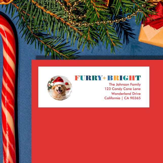 Modernes Foto für Furry & Bright, mehrfarbig (Furry & Bright Pet Lover Address Label)