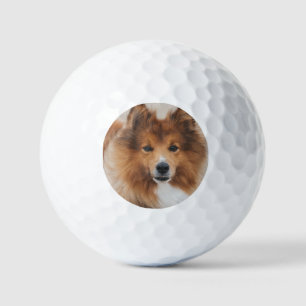 Modernes Foto für Haustiere Golfball