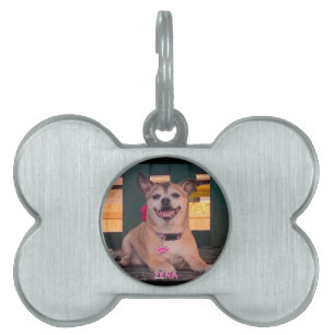 Modernes Foto für Personalisierte Hundebezeichnung Tiermarke