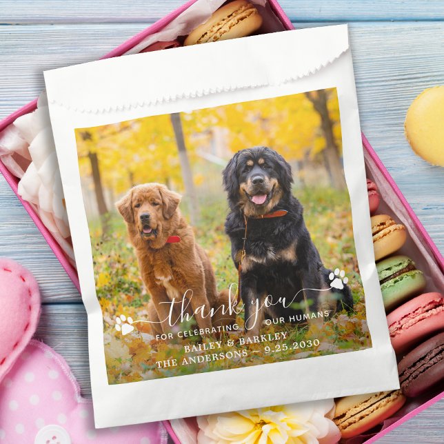 Modernes Foto Script Vielen Dank, dass Ihr Hund Ho Geschenktütchen (Von Creator hochgeladen)