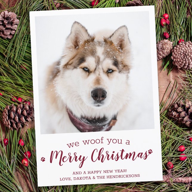 Modernes Foto von Haustieren frohe Weihnachten vom (Von Creator hochgeladen)