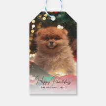 Modernes Happy Pawlidays Hund Foto