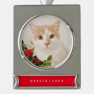 Modernes Haustier Holiday Ornament