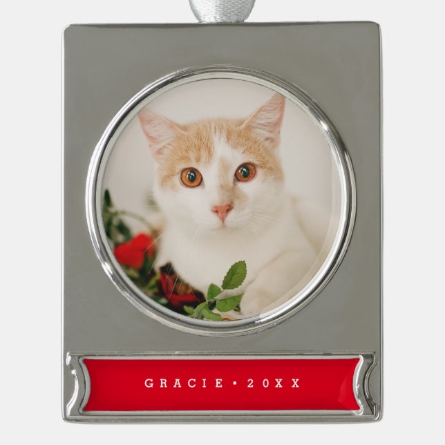 Modernes Haustier Holiday Ornament (Vorderseite)