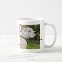Modernes Hund 2 Fotos Herzname