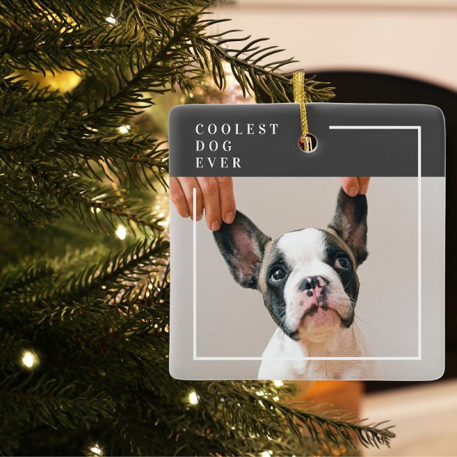 Modernes Hundebahn-Foto | Cooler Hund je Keramikornament (Von Creator hochgeladen)