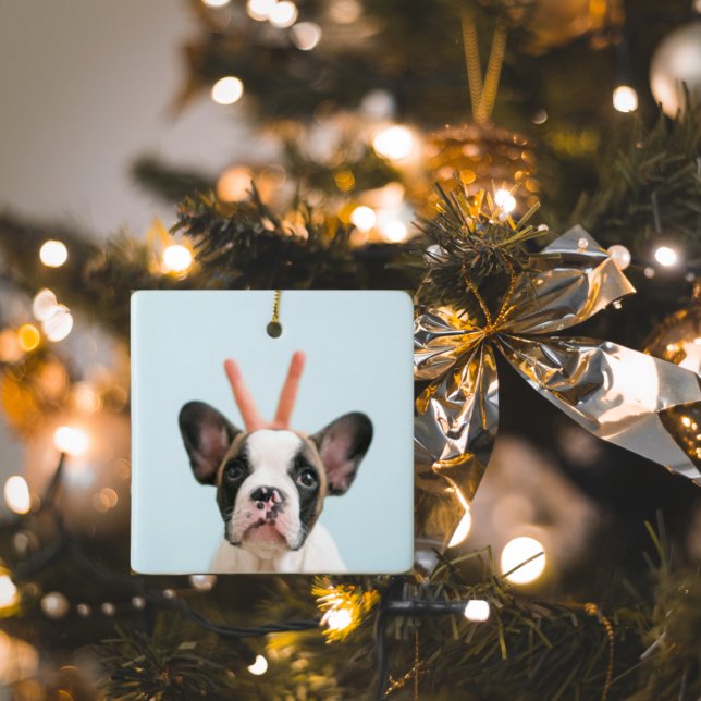 Modernes Hundebahn-Foto | Frohe Weihnachten Keramikornament (Von Creator hochgeladen)