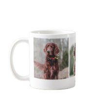 Modernes Hundehund nach Maß Foto