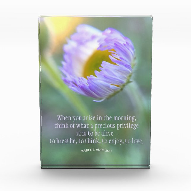 Modernes, inspirierendes Blumenkoffertypografie-Fo Fotoblock (Vorderseite)