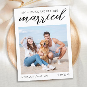 Modernes Kalligrafie-Foto für Hunde Save the Date Ankündigungspostkarte