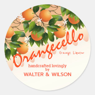 Modernes Orangecello Orange Runder Aufkleber