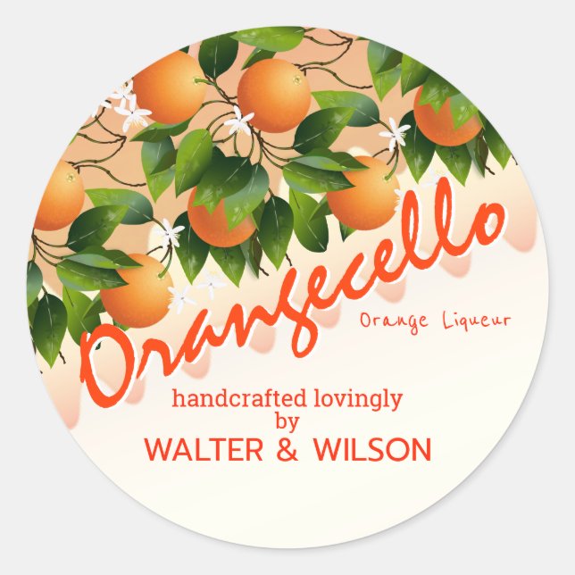Modernes Orangecello Orange Runder Aufkleber (Vorderseite)