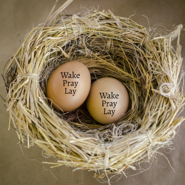 Modernes Personalisiertes Geweckt Pray Lay Egg Gummistempel (modern personalized egg stamp)