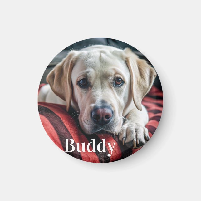 Modernes Personalisiertes Tier Foto Name Hund Love Magnet (Vorne)