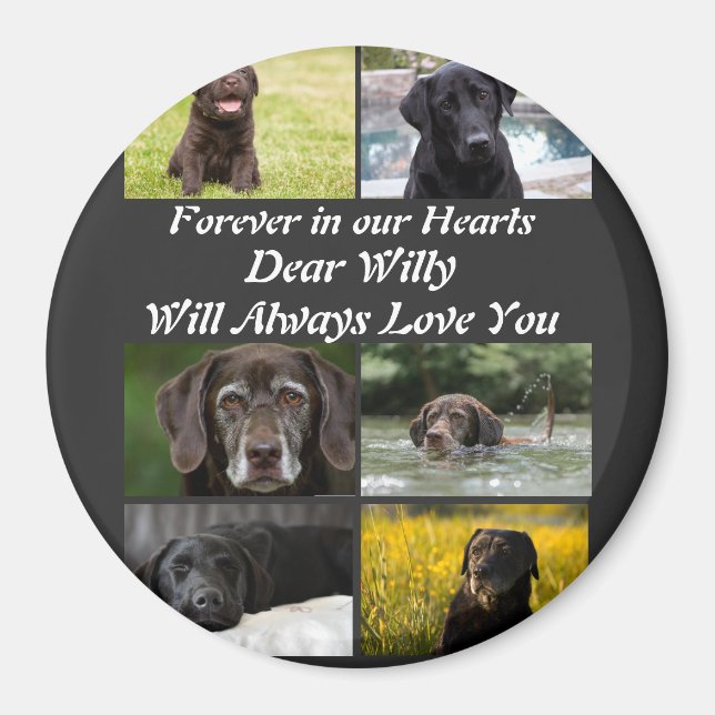 Modernes Pet-Memorial 6 FotoCollage Magnet (Vorne)