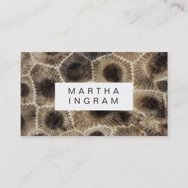 Modernes Petoskey Stone Abstrakt Stone Design Visitenkarte (Vorderseite)