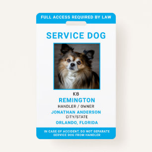 Modernes Red Blue Simple Service Dog Foto ID Abzei Ausweis