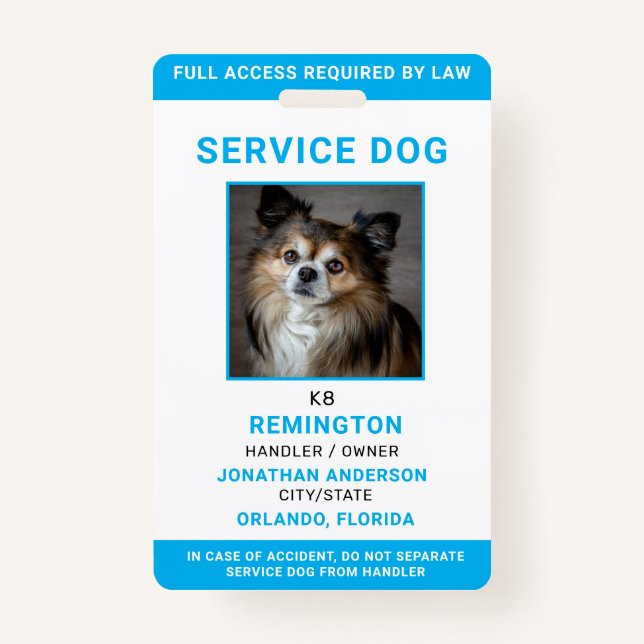 Modernes Red Blue Simple Service Dog Foto ID Abzei Ausweis (Vorderseite)