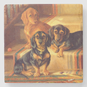 Modernes Refinities Steinuntersetzer