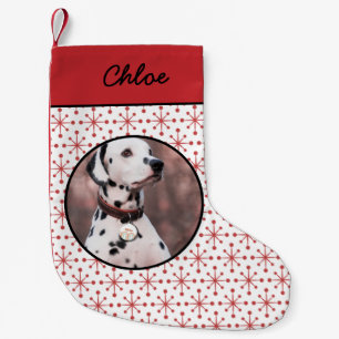 Modernes rotes Sternexplosion Muster Pet Foto Kleiner Weihnachtsstrumpf