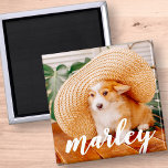 Modernes Rustikales Foto für Haustiere Magnet<br><div class="desc">Dieses einfache und klassische Design besteht aus spielerischer,  kursiver Typografie und fügt ein individuelles Foto Ihres Haustieres hinzu.</div>