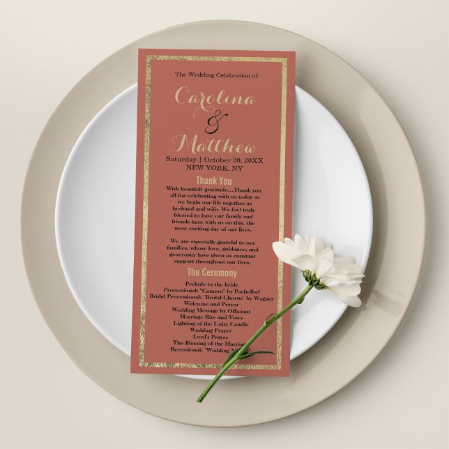 Modernes, schlichtes, rosafarbenes Pfirsichgoldpro Programm (Modern simple elegant rosy peach gold Program)