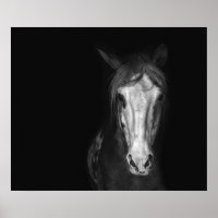 Modernes Schwarz-weißes Pferd Dramatisch