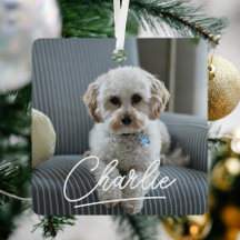 Modernes Script Pet Foto Weihnachten