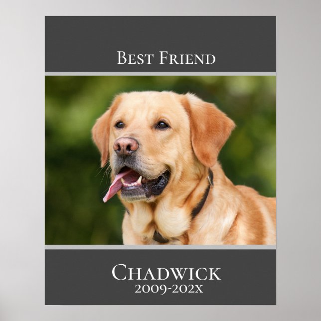 Modernes, stilvolles Add-On für Foto-Pet-Memorial Poster (Vorne)