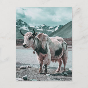 Modernes, trendy Yak Tier Feiertagspostkarte